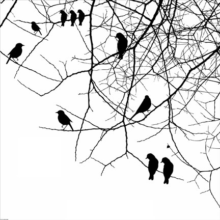 Framed Bird II Print