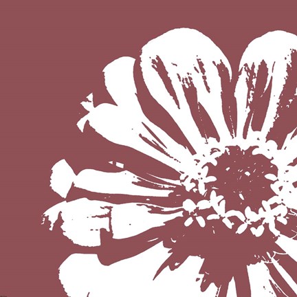 Framed Flower II Print