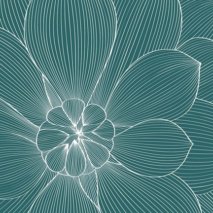 Framed Myrrhis odorata II Print