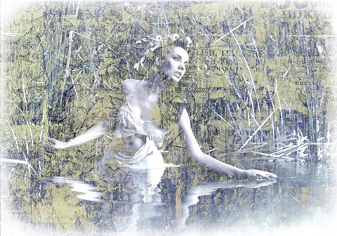 Framed Swan Lake Print