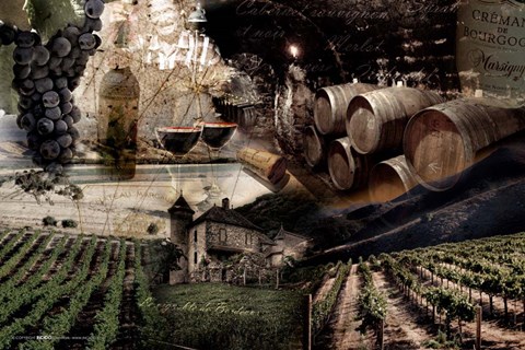 Framed Wine Print