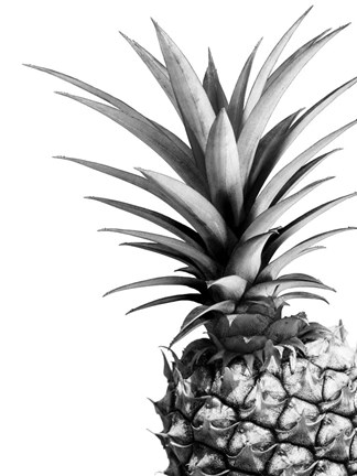 Framed Pineapple (BW) Print