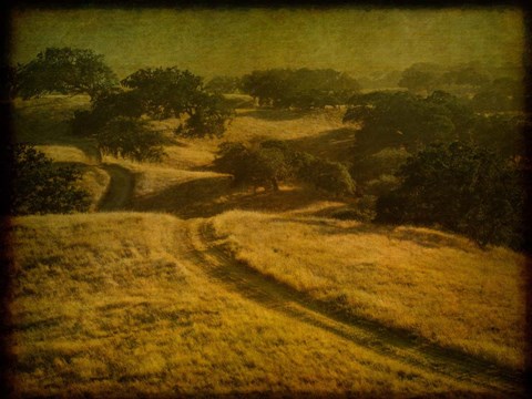 Framed Ranch Road and Oak Savannah Print