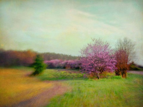 Framed Nature Is Divine Print