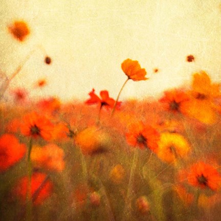 Framed Orange Happiness Print