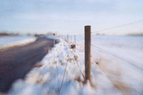 Framed Walking on the Edge of Winter Print