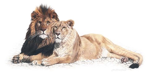 Framed Soul Mates Print