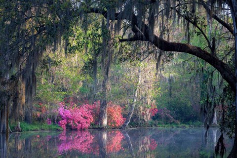 Framed Morning Serenity Print