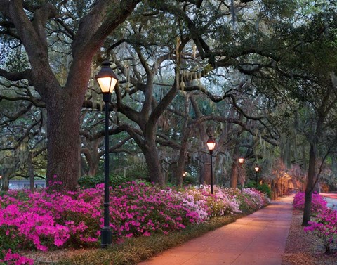 Framed Forsythe Park Print