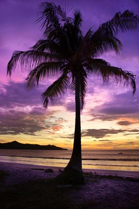 Framed Brasalito Bay, Costa Rica Print