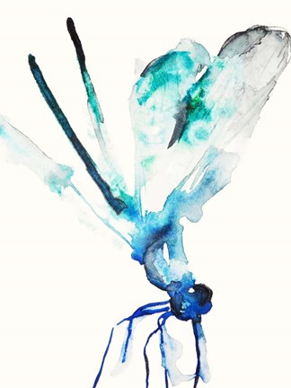 Framed Blue &amp; Green Dragonfly Print