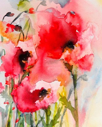 Framed Summer Poppies Print