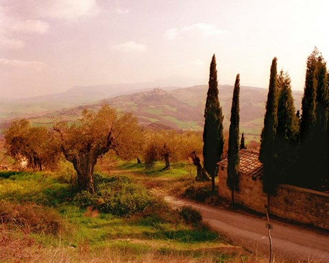 Framed Toscana, Italia No. 709 Print