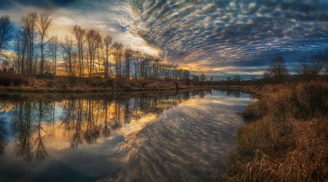 Framed Angel Wings Print