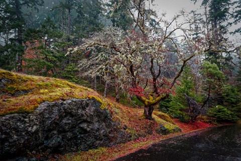 Framed On the Road Print
