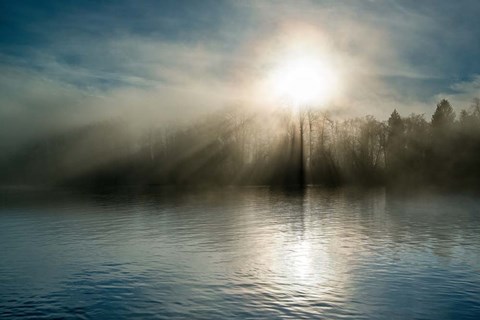 Framed Rising above the Water Print