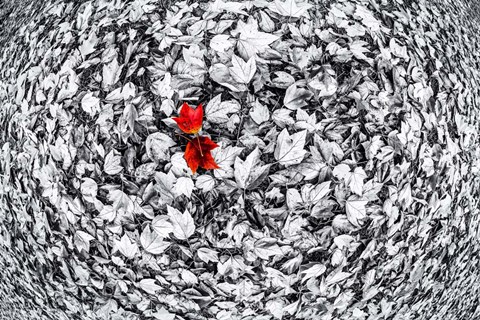 Framed Together Print