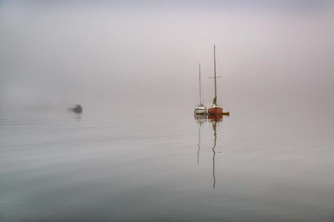 Framed Tranquility II Print