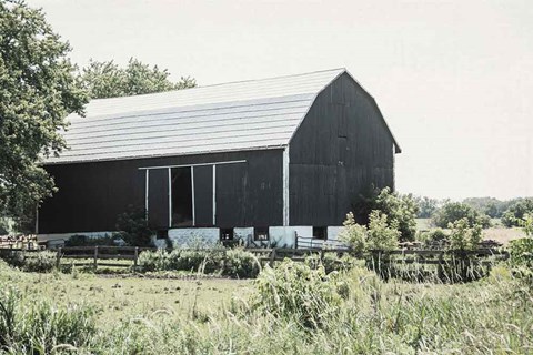 Framed Weathered II Print