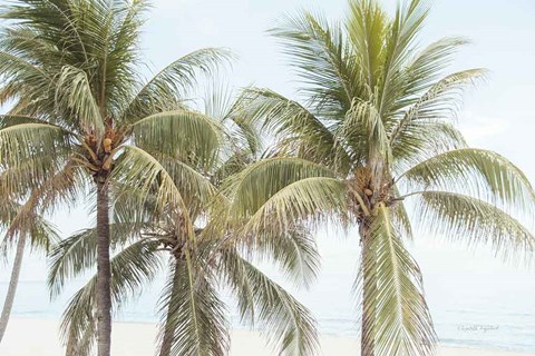 Framed By the Sea II Print