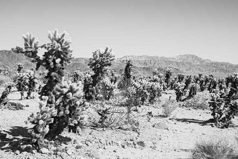 Framed Road Trip III Print