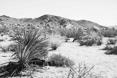 Framed Road Trip II Print