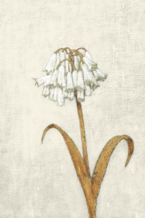 Framed Shimmering Summer II Ivory Print