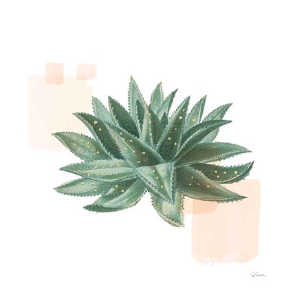 Framed Desert Color Succulent II Print