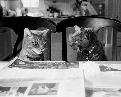 Framed Not While I&#39;m Reading Print