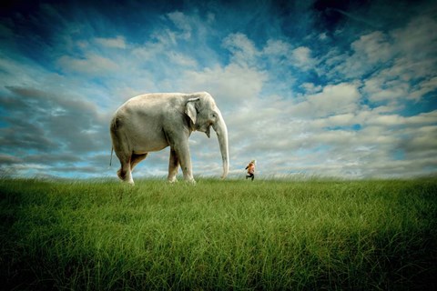Framed Elephant Follow Me Print
