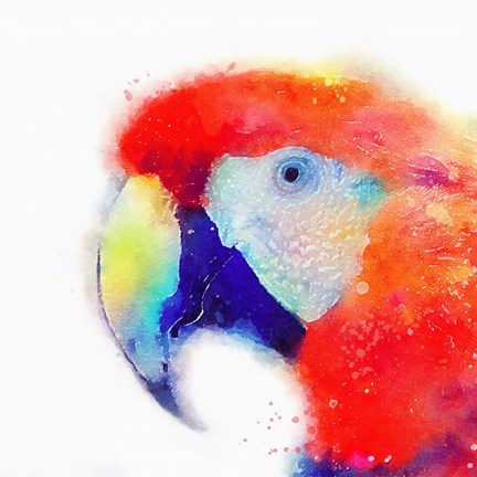 Framed Articulate II Print