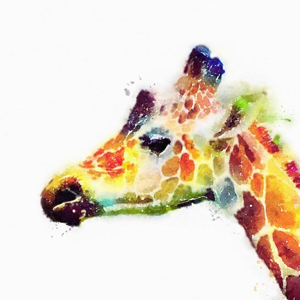 Framed Graceful II Print