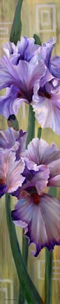 Framed Iris I Print
