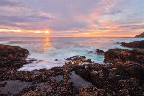 Framed Nature&#39;s Palette Print