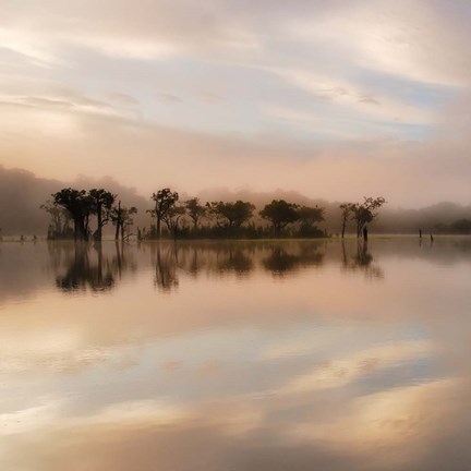 Framed Dawn Mist on the Amazon Print