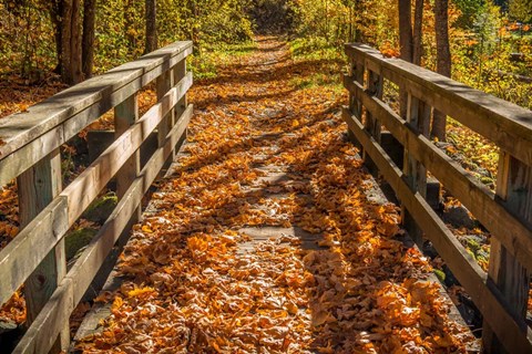 Framed Fall On The Footbridge Print