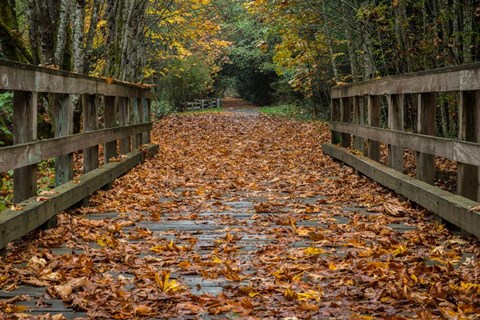 Framed Fall on the Goose (Victoria) Print