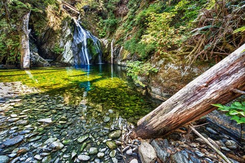 Framed Falls Creek Print