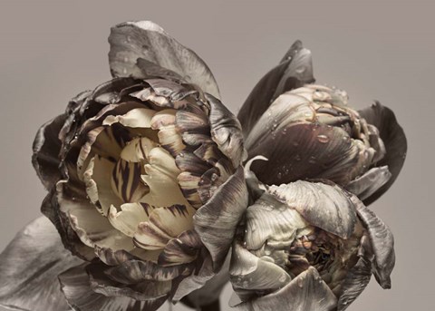 Framed Baroque 4 Print