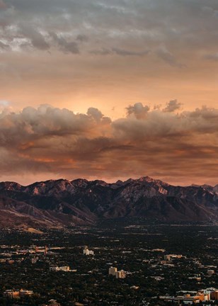 Framed Bishop 10 Print