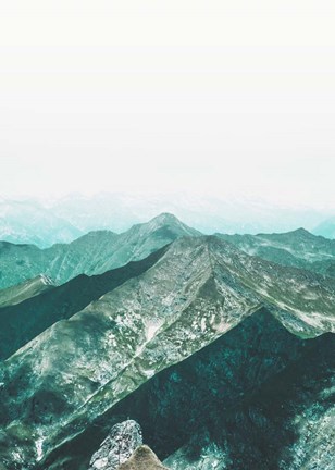 Framed Bishop 16 Print