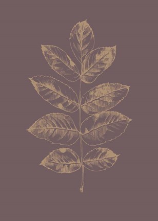 Framed Botanica 2 Print