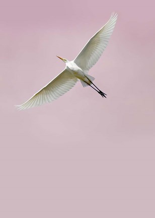 Framed In the Sky 2 Print