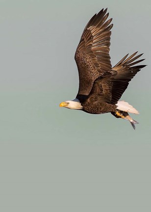 Framed In the Sky 3 Print