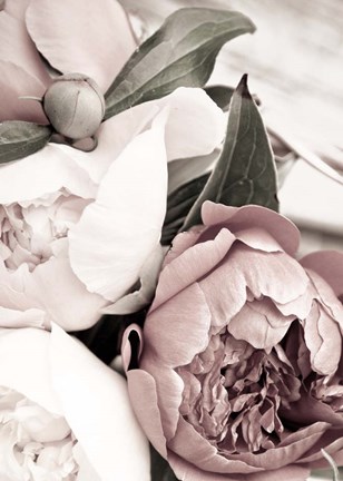 Framed Opulent 1 Print