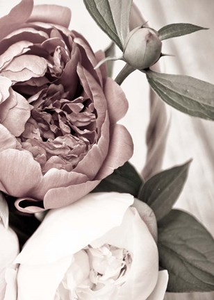 Framed Opulent 2 Print