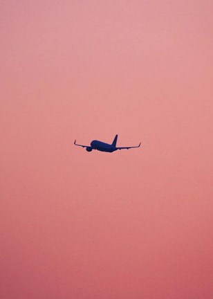 Framed Pink Flight Print