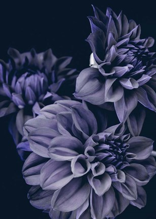 Framed Secret 15 Print