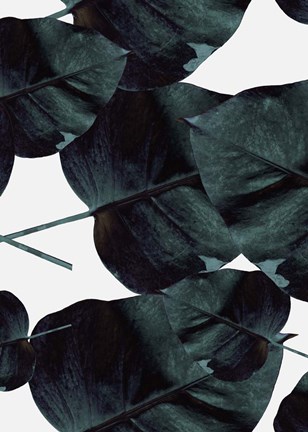 Framed Tropic Sensation Print