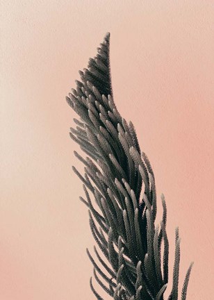 Framed Upwards 1 Print